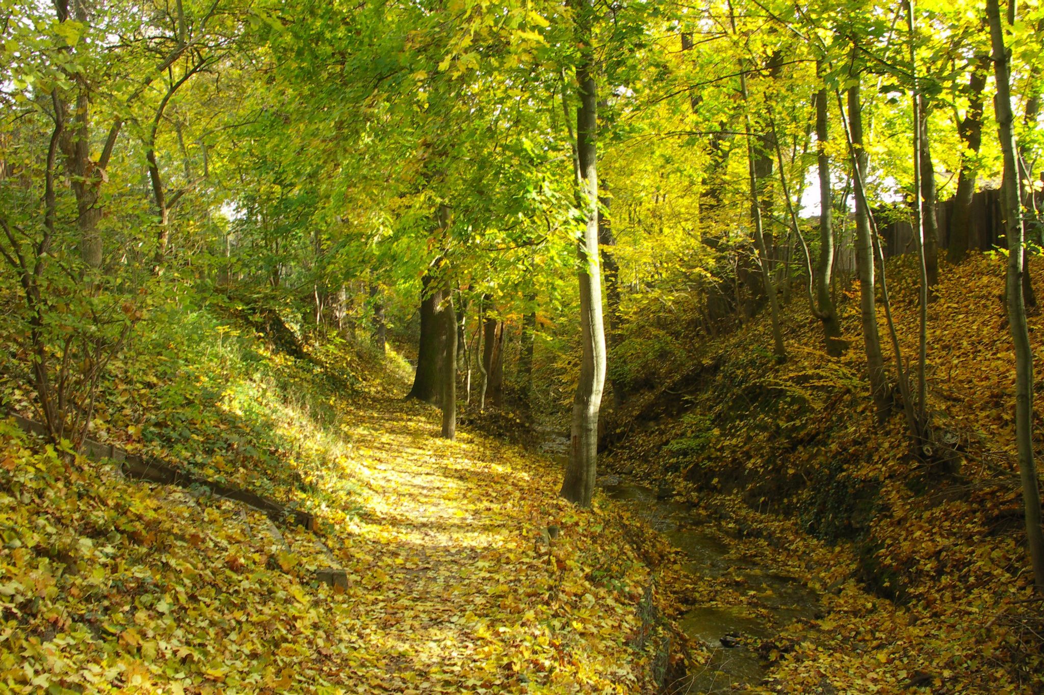 Siechenbach Tal, Germany