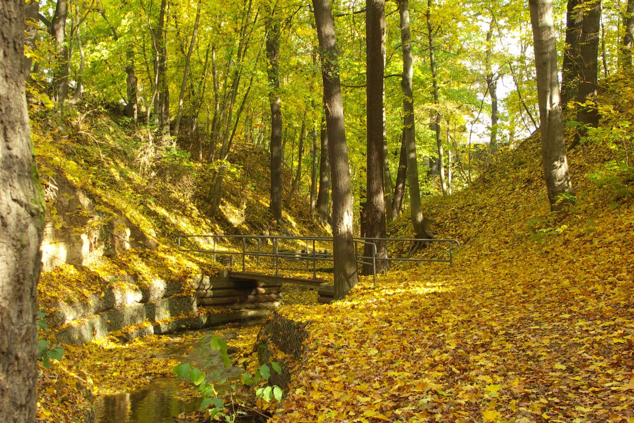 Siechenbach Tal, Germany