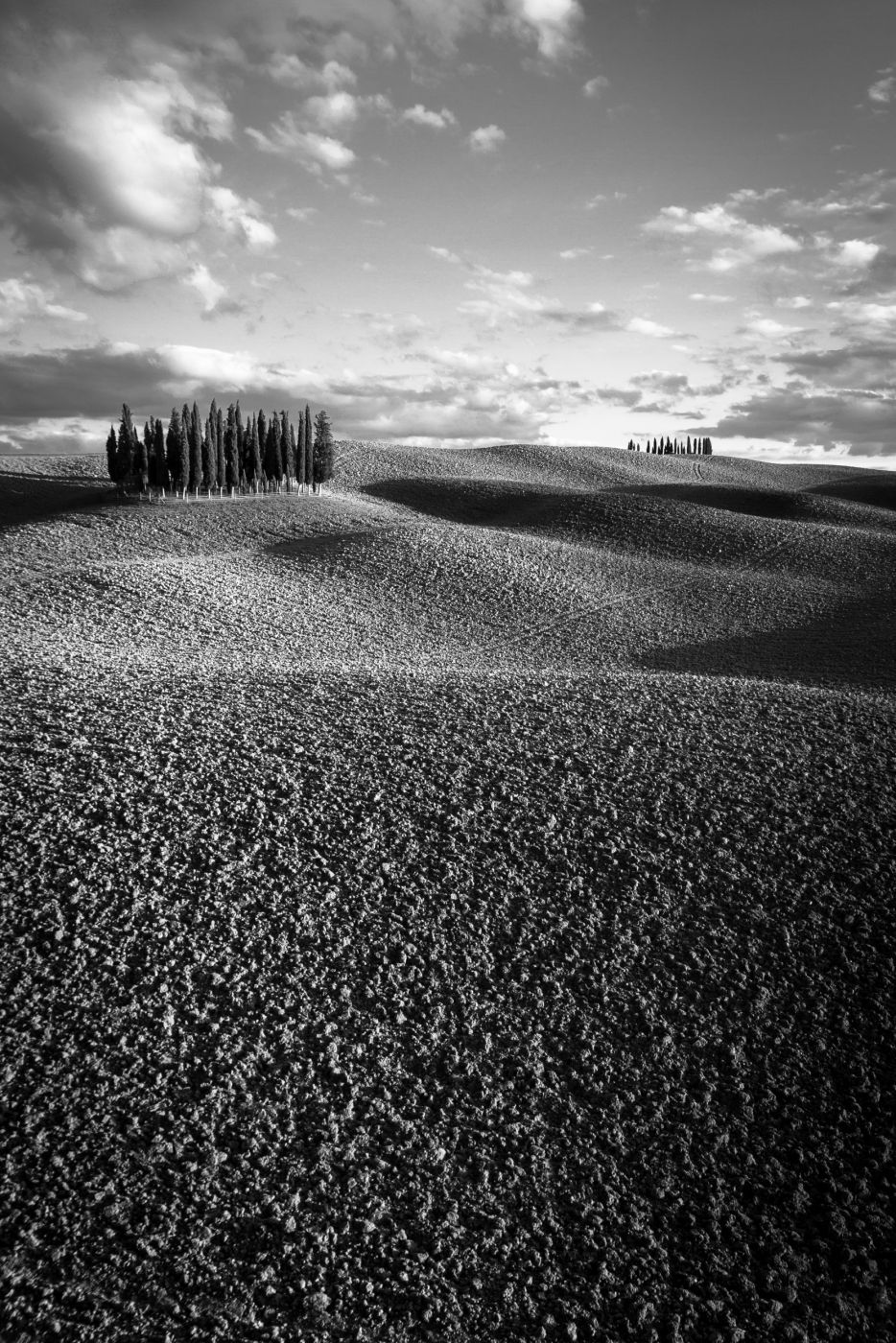 Tuscany Grove, Italy