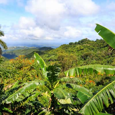 Crucesitas, Cuba