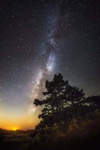 De Schoorlse Duinen