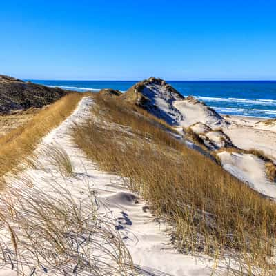 Dunes at Skagen, Denmark