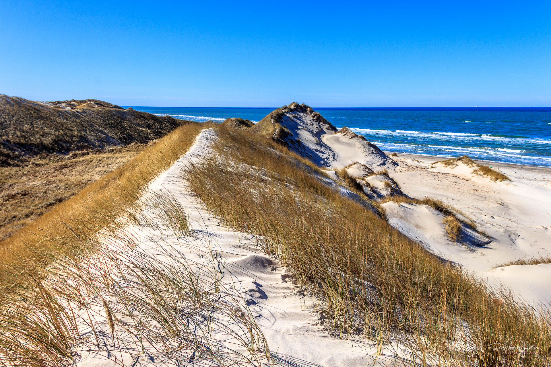 Dunes at Skagen, Denmark