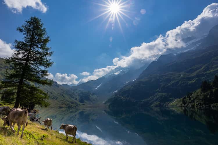 Engstlensee