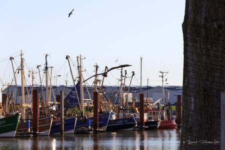 Fishing boats in Norddeich