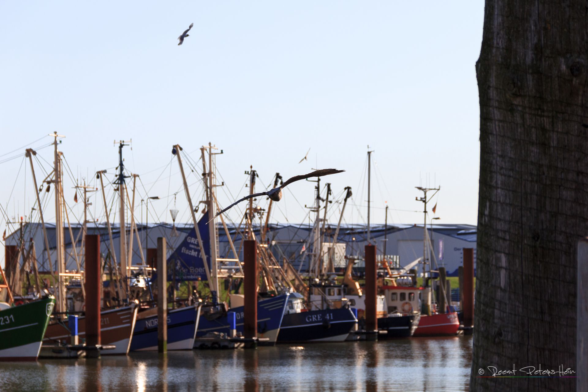 Fishing boats in Norddeich, Germany