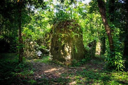 Ruins of a coffee plantation