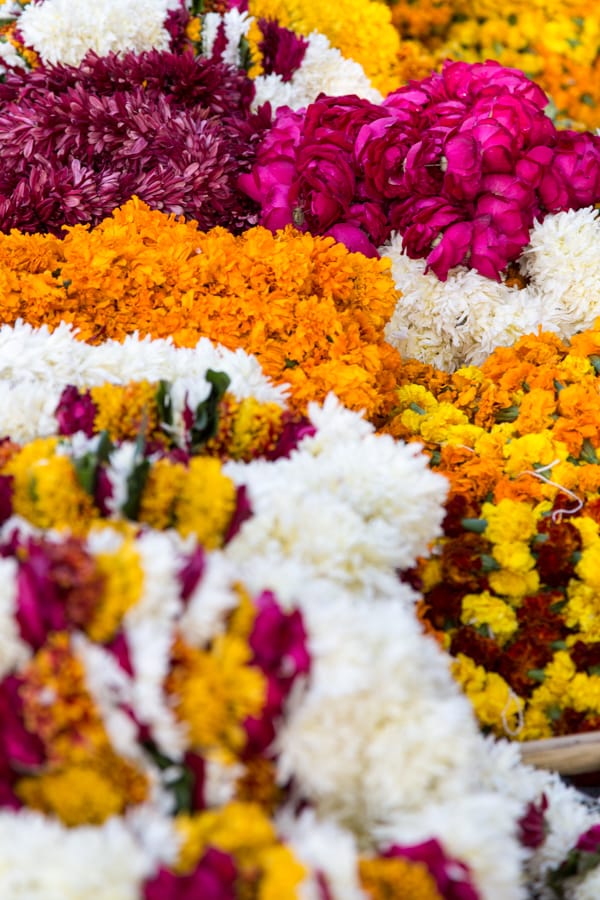 Jaipur Market, India
