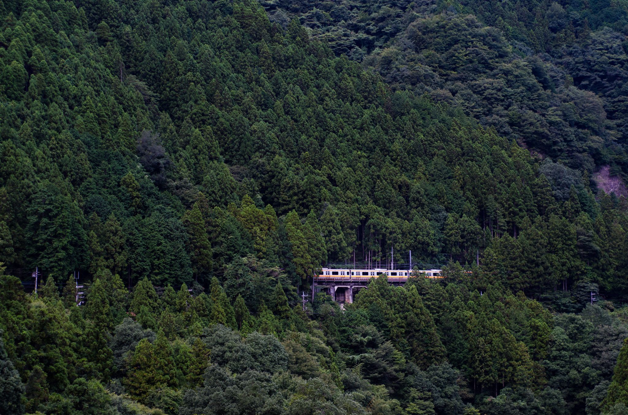 Mitake Station, Japan