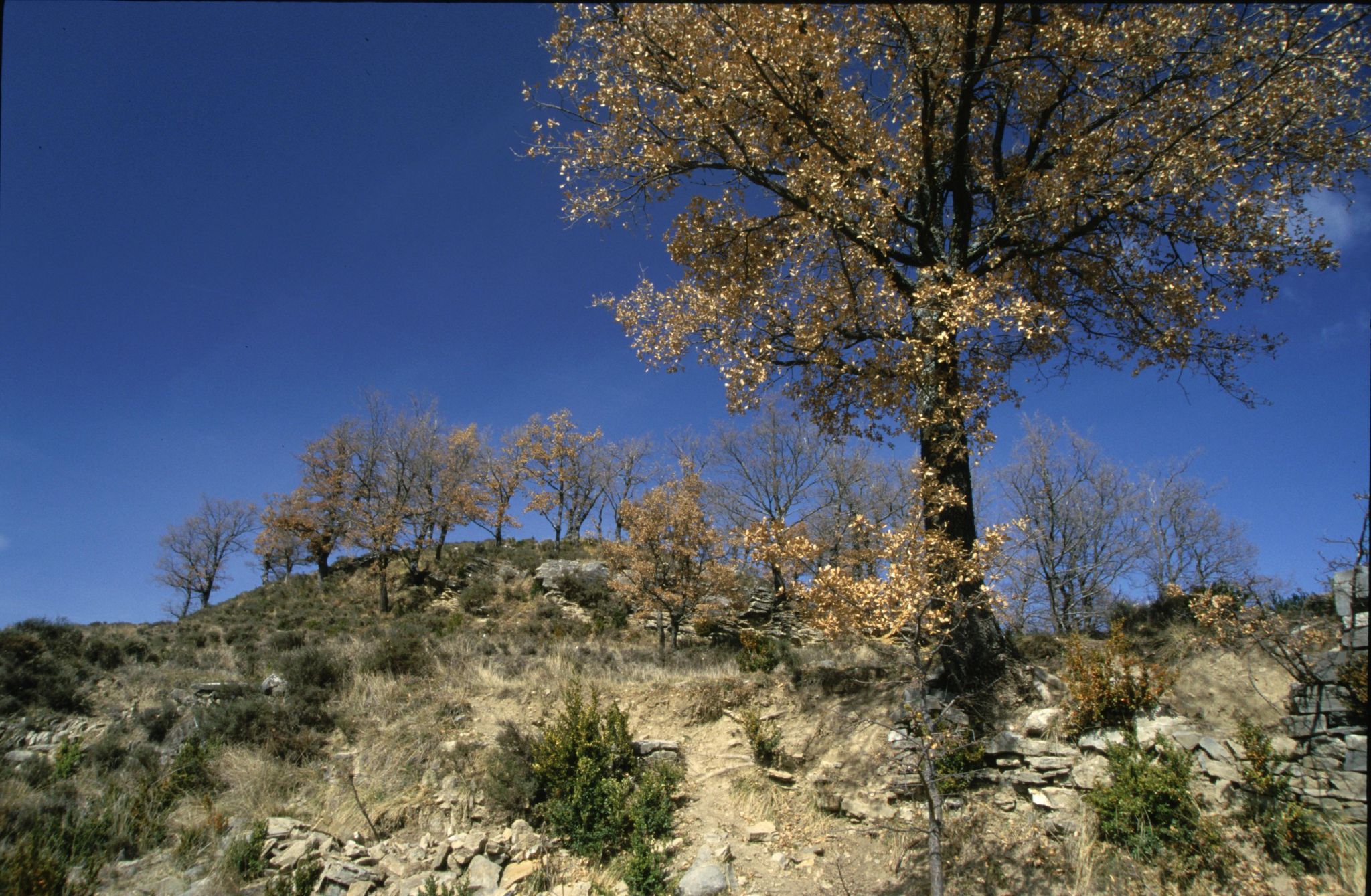Otin, Spain