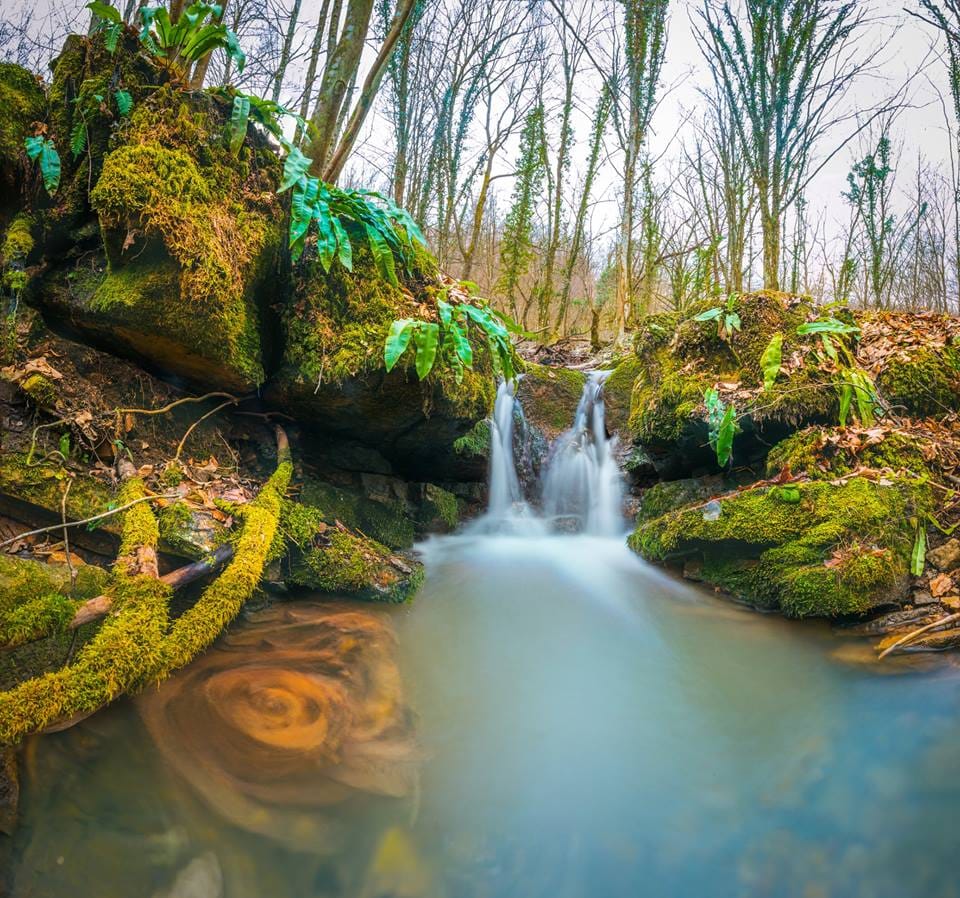 Pure Nature, Bosnia and Herzegovina