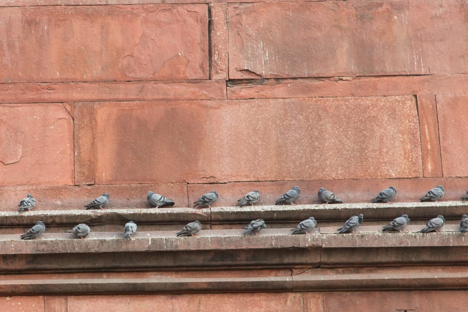 Red Fort, Delhi, India