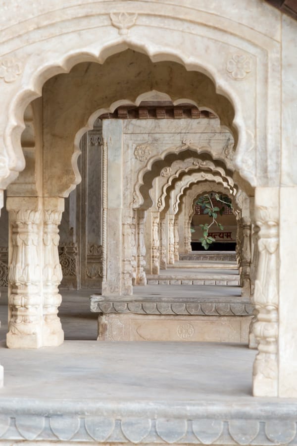 Royal Gaitor, India