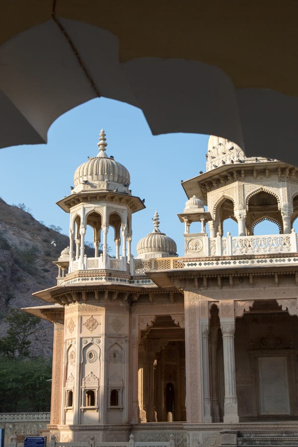 Royal Gaitor, India