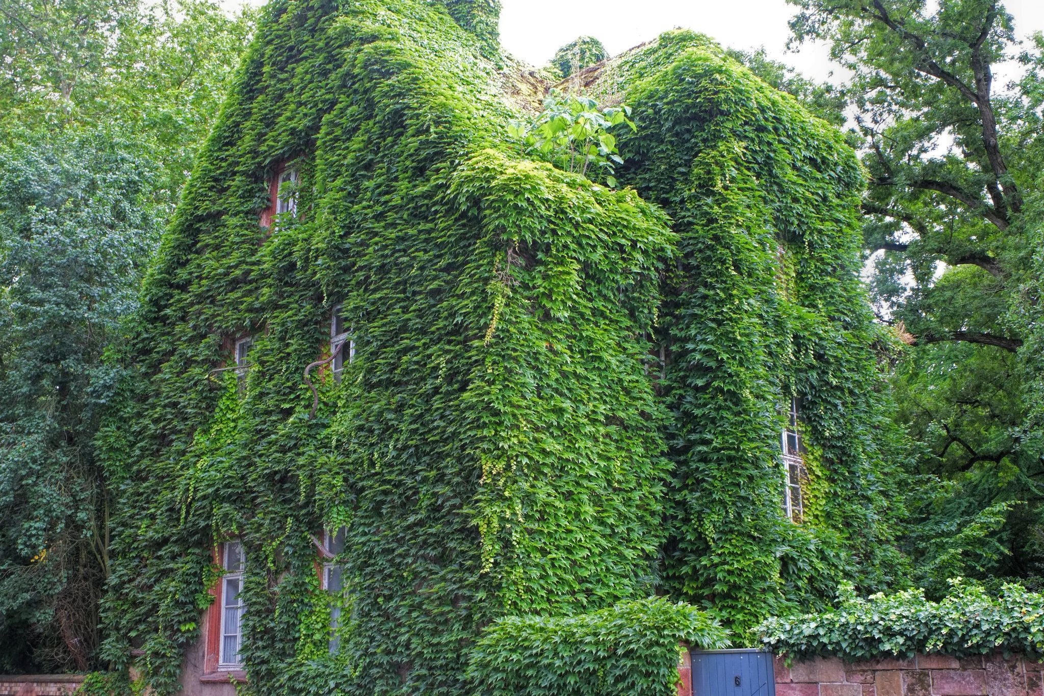 The green house, Gießen, Germany