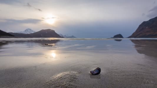 Via beach during low tide