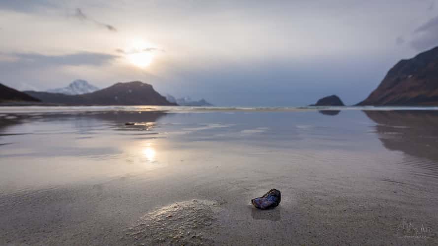 Via beach during low tide