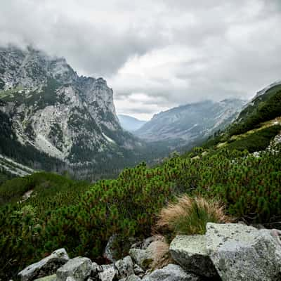 Bielovodská dolina, Slovakia (Slovak Republic)