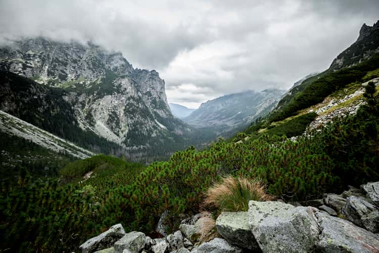 Bielovodská dolina
