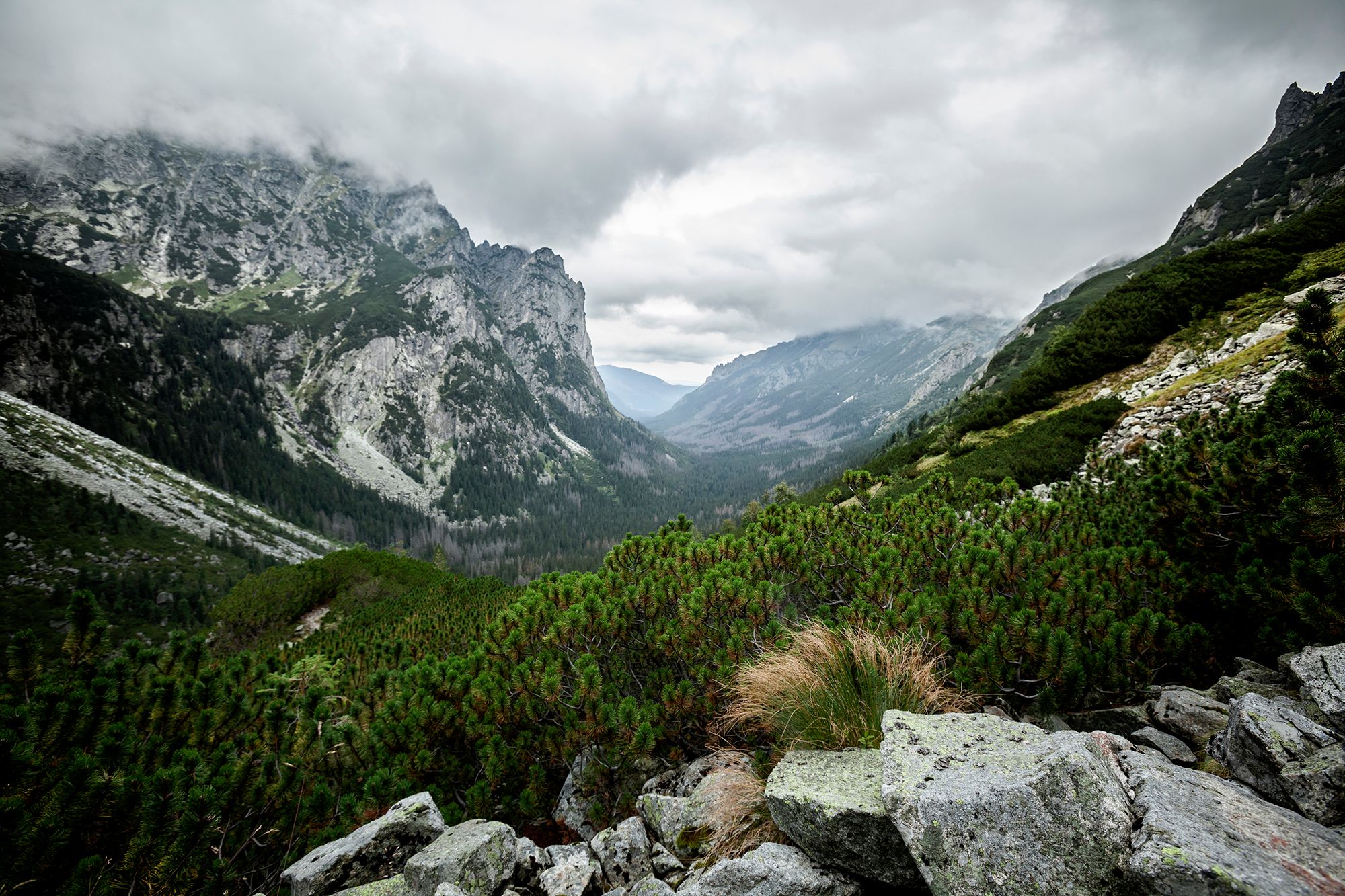 Bielovodská dolina, Slovakia (Slovak Republic)