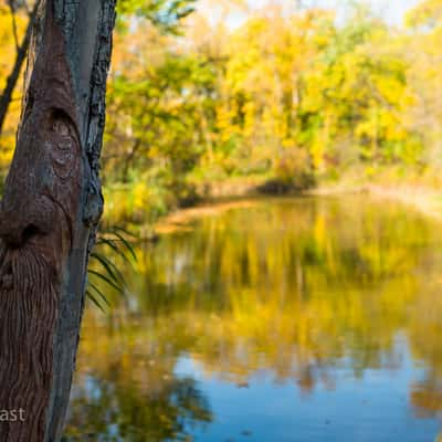 Bois des Espirits, Canada