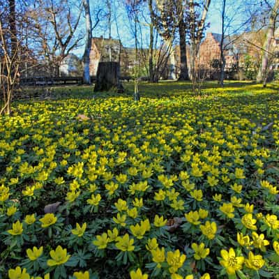 Botanical Garden, Giessen, Germany