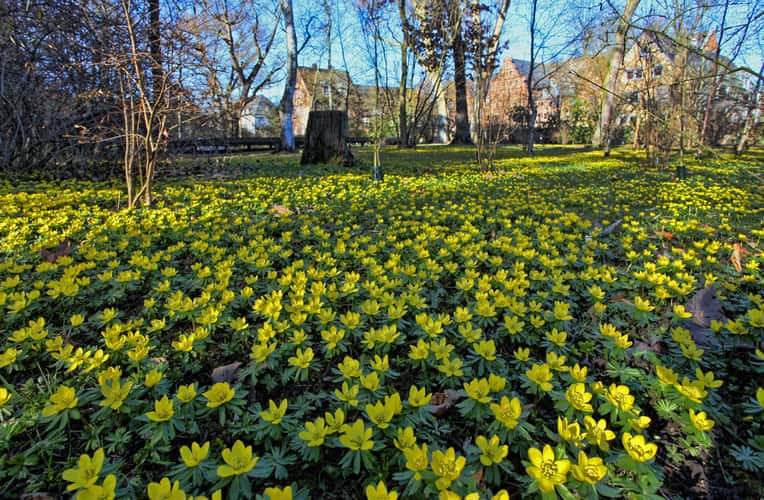 Botanical Garden, Giessen