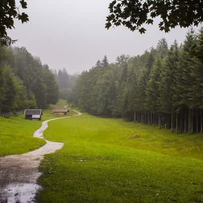 dull path, Germany