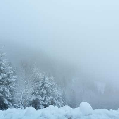 Foggy view of the forest near Hopfgarten, Austria