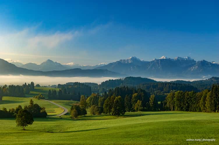 Forggenhof