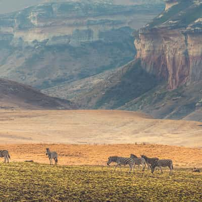 Golden Gate National Park, South Africa