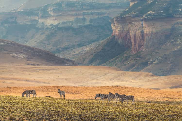 Golden Gate National Park