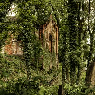 Jewish cemetery in Cieszyn, Poland