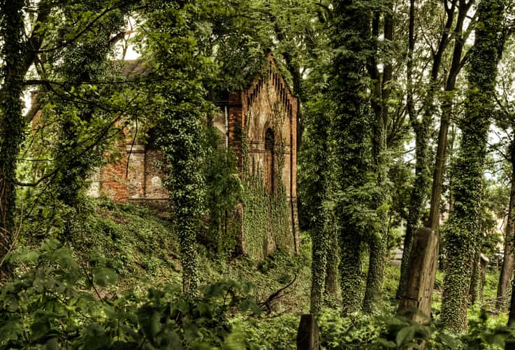 Jewish cemetery in Cieszyn