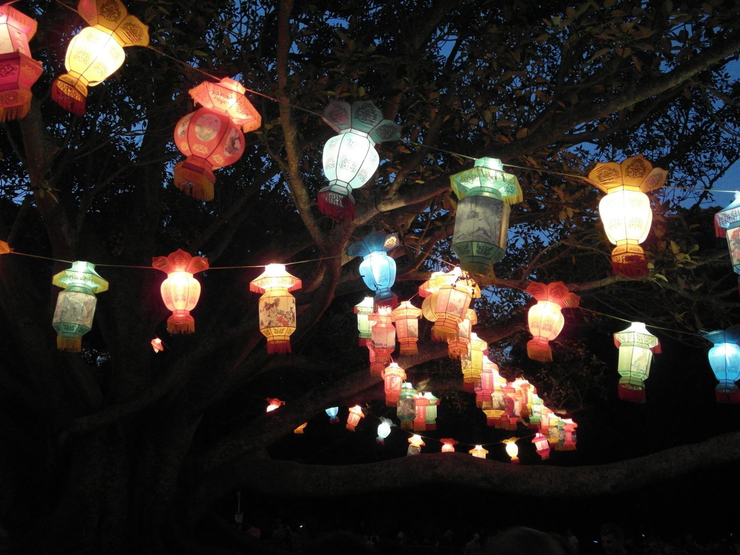 Lantern Festival Auckland, New Zealand