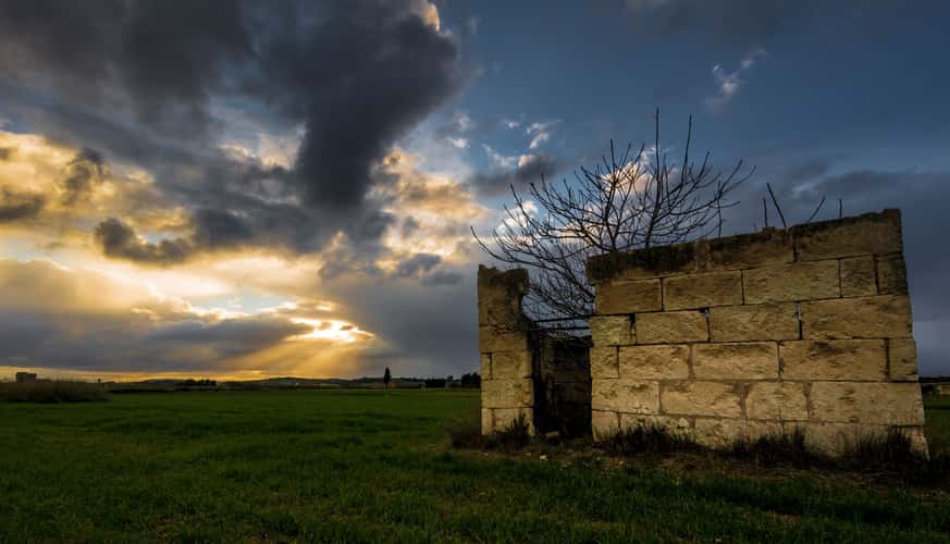 Mallorquin countryside