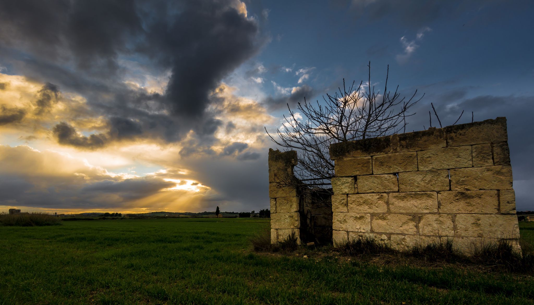 Mallorquin countryside, Spain