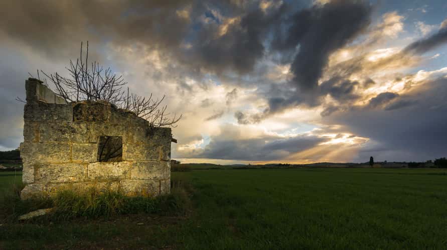 Mallorquin countryside