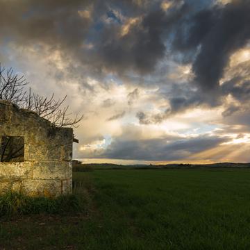Mallorquin countryside, Spain