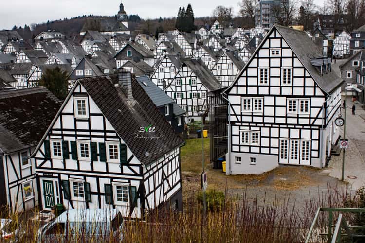 'Old spot', Freudenberg