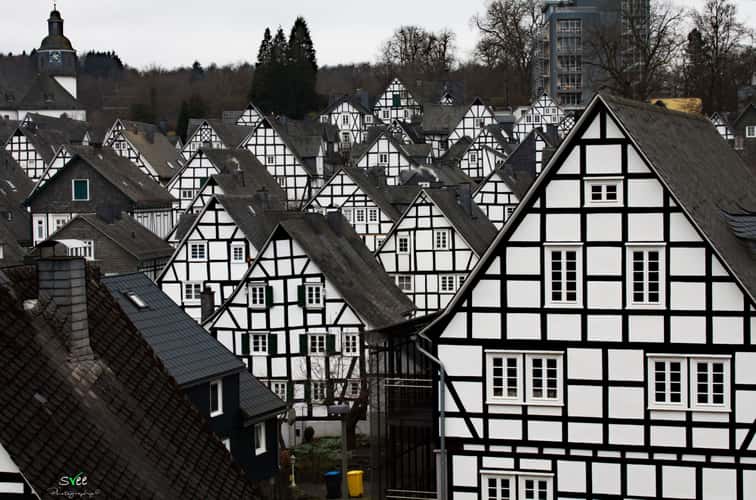 'Old spot', Freudenberg