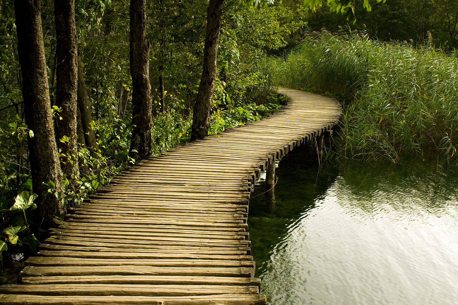Plitvice Lakes National Park, Croatia