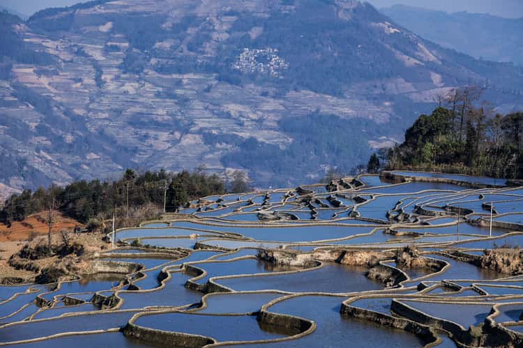 Reisterrassen in Yunnan
