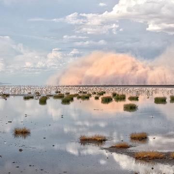 Sandstorm at Lake Natron, Tanzania