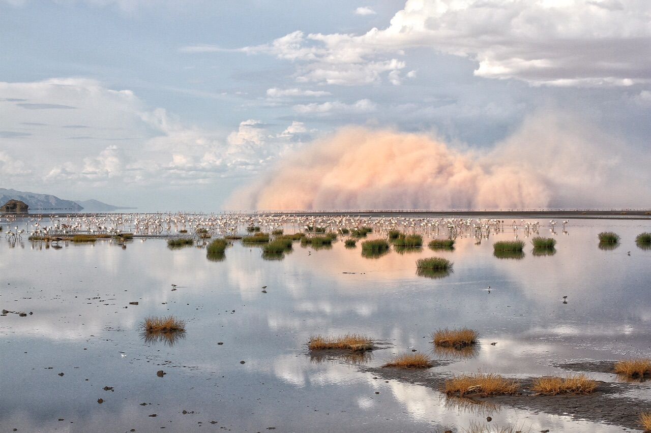 Sandstorm at Lake Natron, Tanzania
