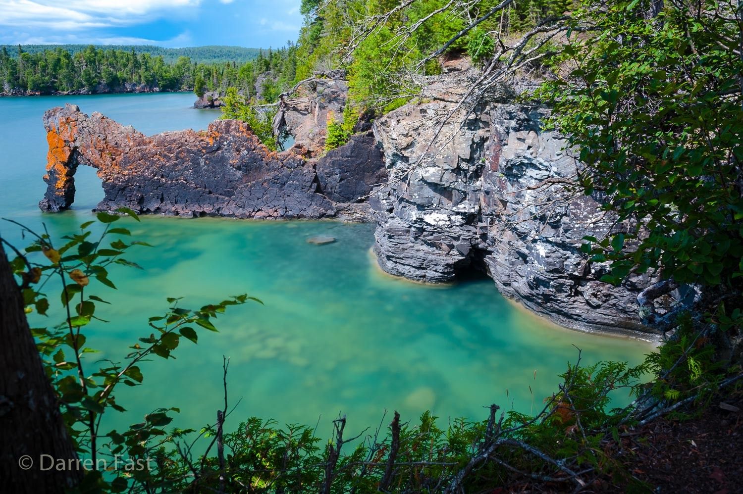 Sea Lion, Canada