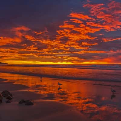 St. Clair Sunrise, New Zealand