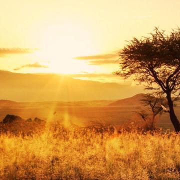 Sunrise in Tanzanian Savanne, Tanzania