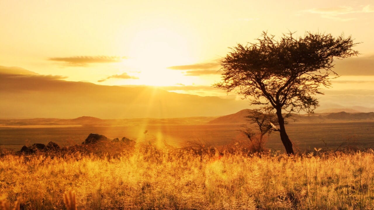 Sunrise in Tanzanian Savanne, Tanzania