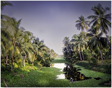 The Backwaters of Agalad